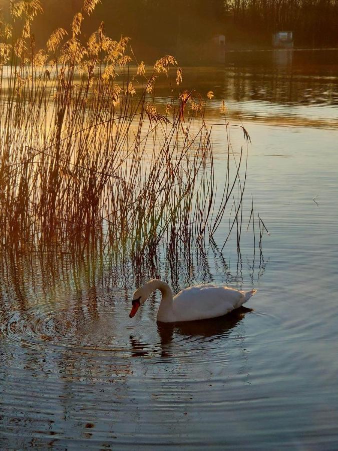 Tramonto Al Lago ガヴィラーテ エクステリア 写真